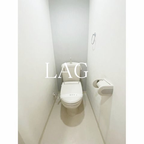 東武野田線 塚田駅 徒歩1分 2階建 築17年のトイレ写真