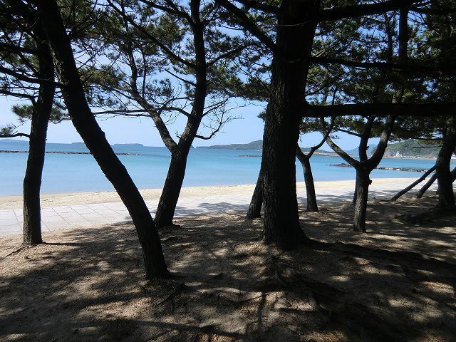 その他　菊ヶ浜海岸（その他）まで2100m