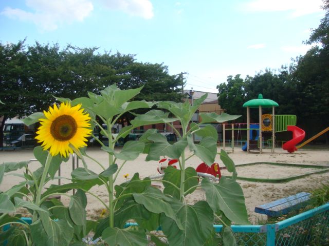 公園　上の宮公園（公園）まで420m