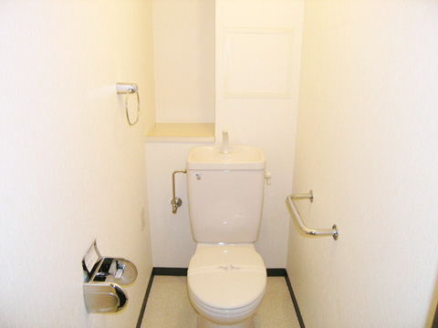 トイレ　トイレも気になるポイント