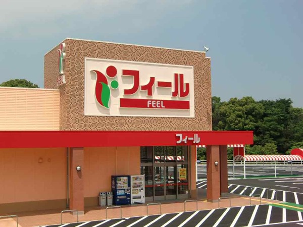 スーパー　フィールホームタウン（スーパー）まで769m