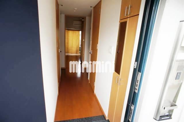 玄関　玄関から見たお部屋の雰囲気です