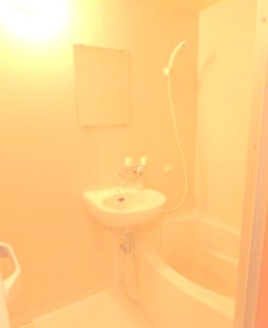 バス・シャワールーム　別部屋同仕様タイプ