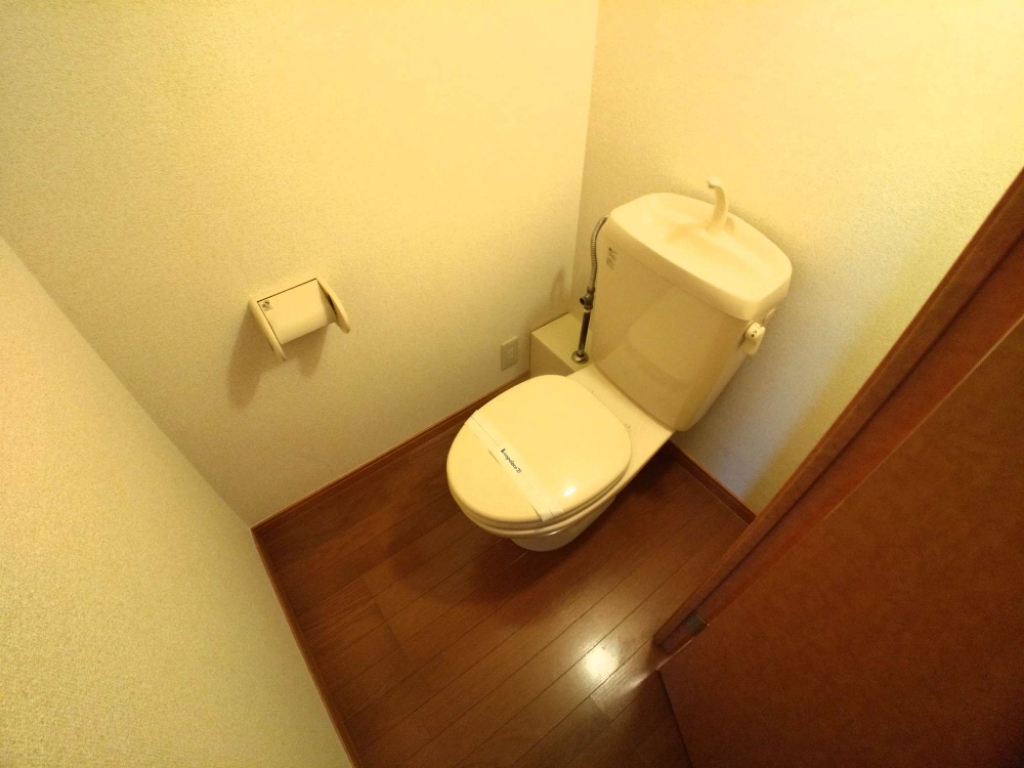 その他　明るく清潔感のあるトイレ