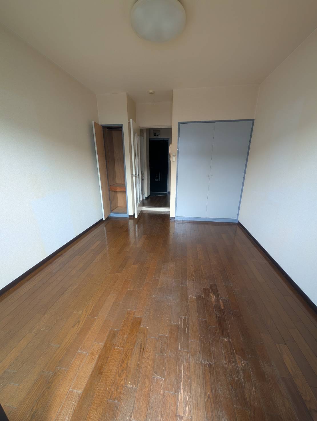 居室・リビング　他号室の写真になります。