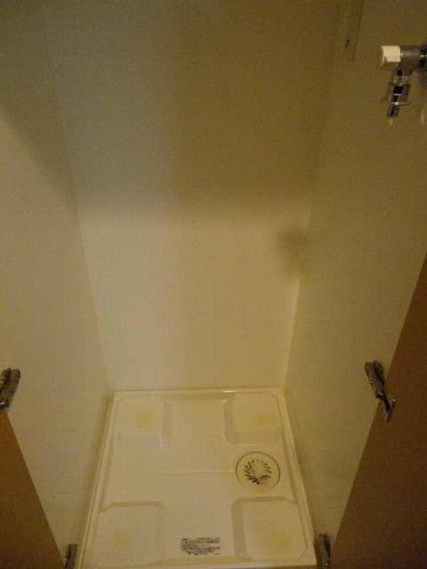 その他　室内洗濯機置場