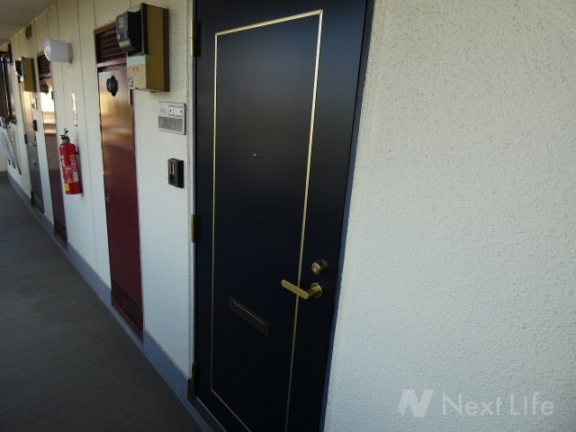 その他共有部分　アムールオオカサ