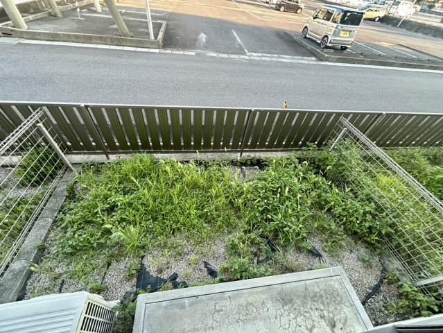 庭