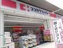 ドラックストア　ココカラファイン道明寺店（ドラッグストア）まで1095m