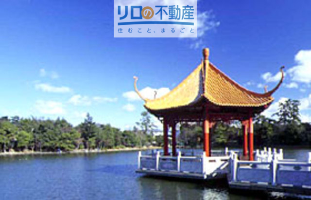 公園　緑ケ丘公園（公園）まで1253m