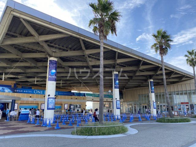 その他　新江ノ島水族館（その他）まで705m