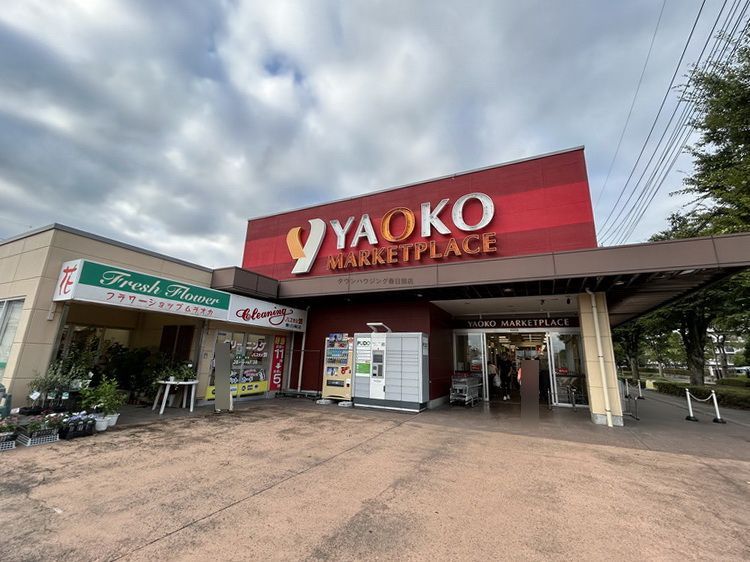 スーパー　ヤオコー新白岡店（スーパー）まで4520m