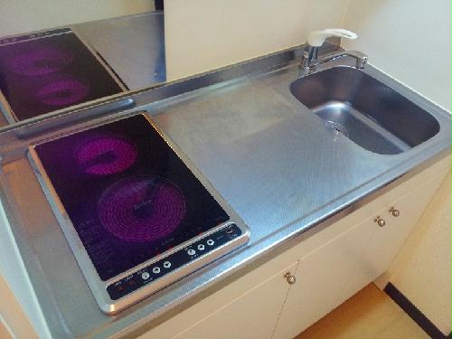 レオネクストセントラルヒルズVIのキッチン写真