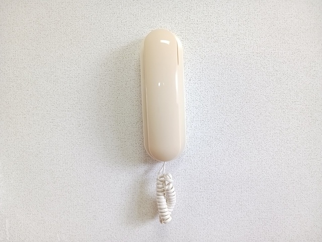 フォレット千代のその他写真