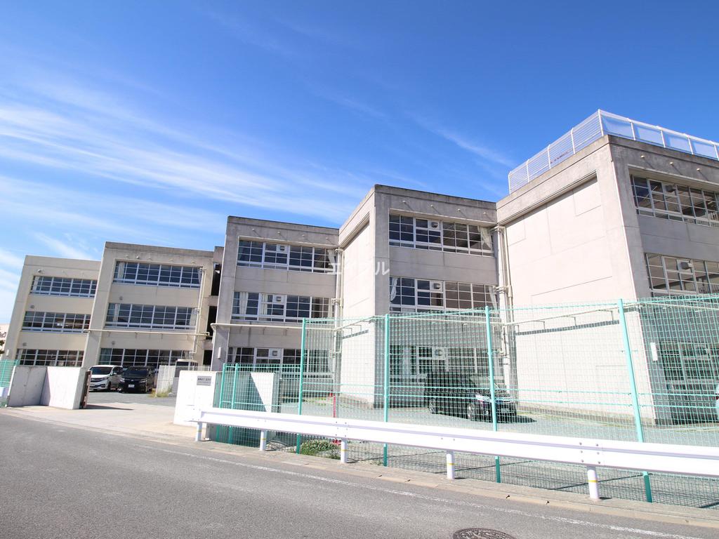 小学校　福岡市立玄洋小学校（小学校）まで905m