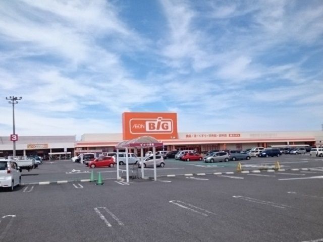 スーパー　イオンＢＩＧ養老店（スーパー）まで600m