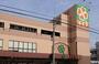 スーパー　ライフ庄内店（スーパー）まで703m