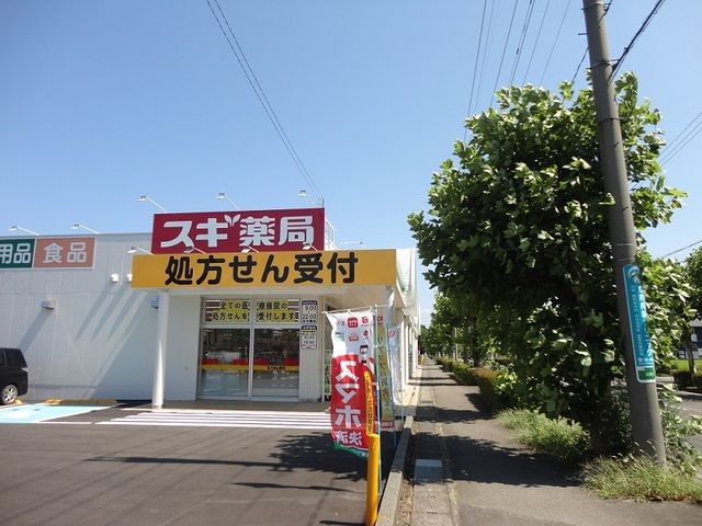 ドラックストア　スギ薬局敦賀南店（ドラッグストア）まで300m