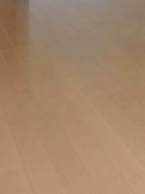 居室・リビング　フローリングのお部屋