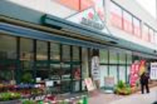 スーパー　マルエツ真中店（スーパー）まで1217m