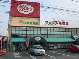 スーパー　ヤックス道場店（スーパー）まで391m