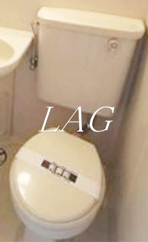 トイレ　トイレです。