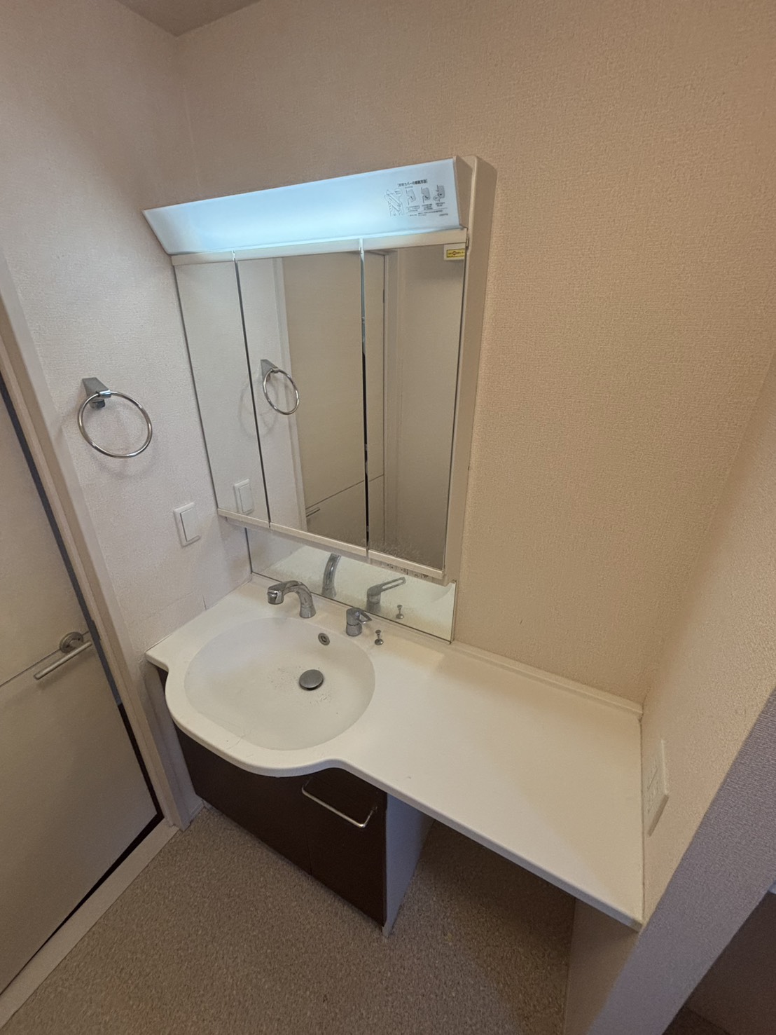 洗面設備　反転タイプのお部屋です