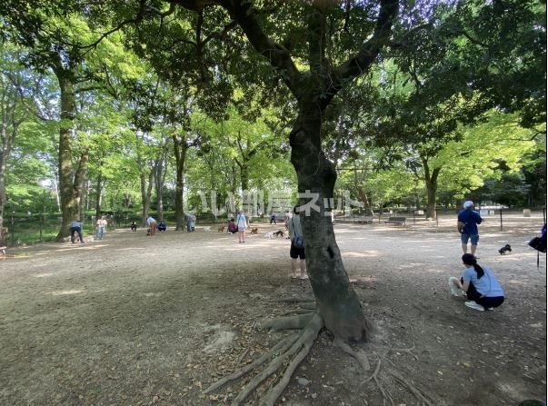 公園　所沢航空記念公園（ドッグラン）（公園）まで2528m