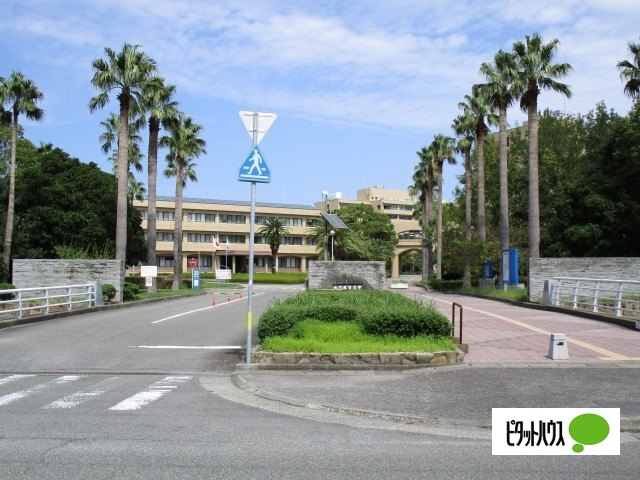 図書館　鳴門教育大学附属図書館（図書館）まで2007m
