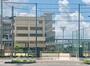 小学校　沖洲小学校（小学校）まで134m