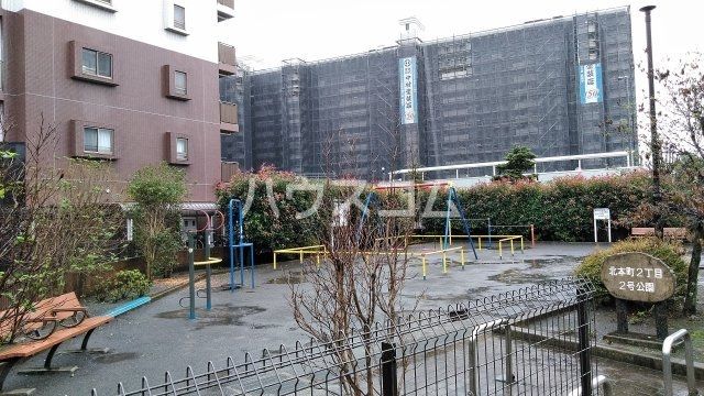 庭