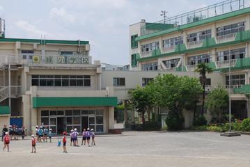 小学校　小金井市立 緑小学校（小学校）まで761m