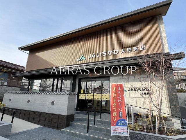 銀行　ＪＡいちかわ 大柏支店（銀行）まで852m