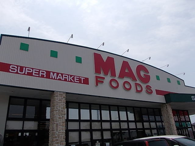 その他　マグフーズ中島店（その他）まで300m