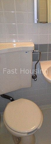 西武池袋線 石神井公園駅 徒歩9分 2階建 築39年のトイレ写真