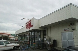 その他　スーパーチェーンふじ新富店（その他）まで1000m
