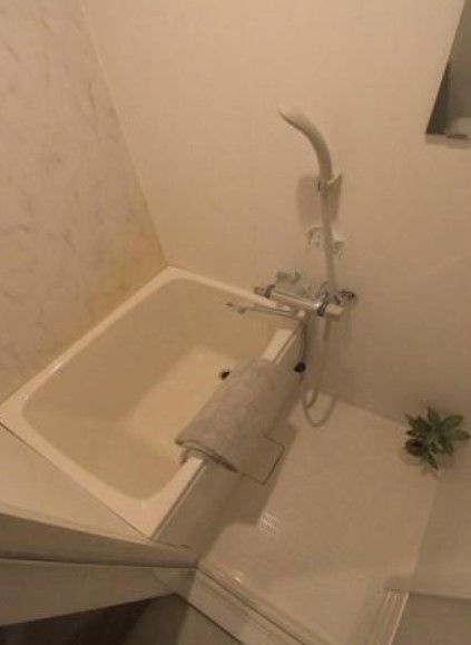 バス・シャワールーム　他部屋参考写真です。家具・小物は付きません。