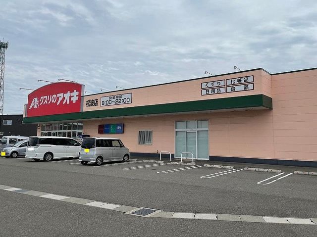 【柏崎市松波のアパートのドラックストア】