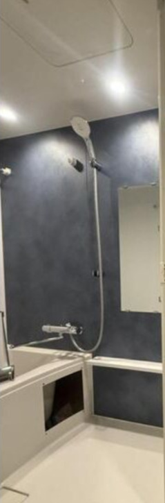 バス・シャワールーム　エスリードレジデンス ザ・グラン大阪福島クラス　洗面所