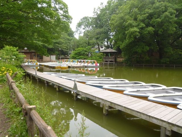 公園　善福寺公園（公園）まで930m