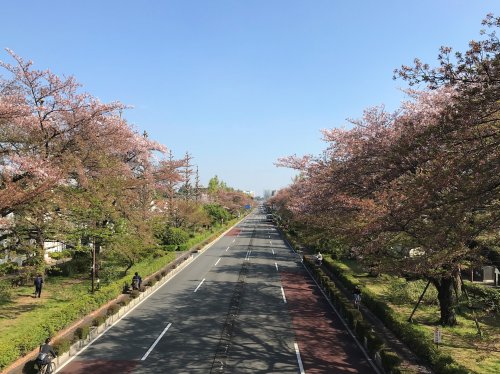 その他　大学通り（その他）まで1385m