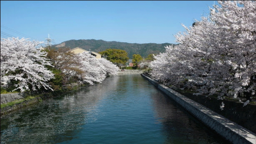 その他　疎水（その他）まで20m