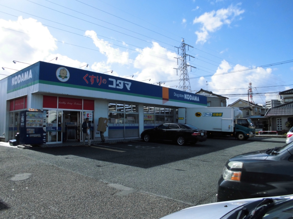 ドラックストア　クスリのコダマ 南出来島店（ドラッグストア）まで263m
