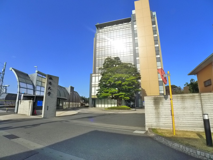 大学・短大　淑徳大学（大学・短大）まで350m