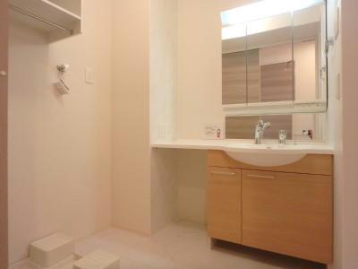 洗面設備　同型タイプ