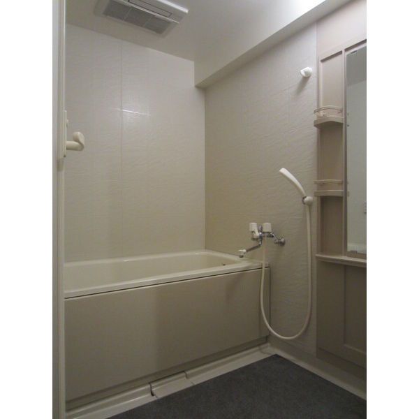 バス・シャワールーム　室内写真は別部屋の写真です。