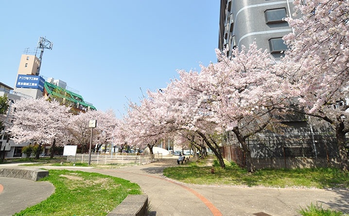 公園　難波塩草敷津公園（公園）まで201m
