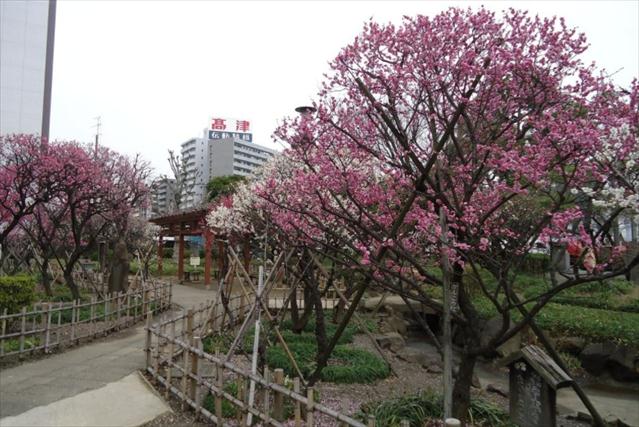 公園　聖跡蒲田梅屋敷公園（公園）まで200m