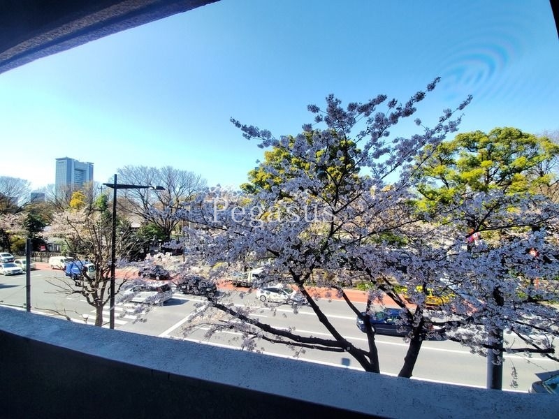 眺望