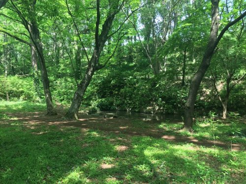 公園　加曽利緑地（公園）まで890m